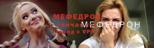 индика Козловка