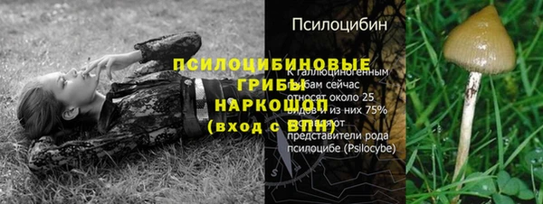 круглые Алексеевка
