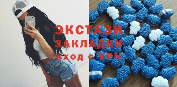 хмурый Алексин