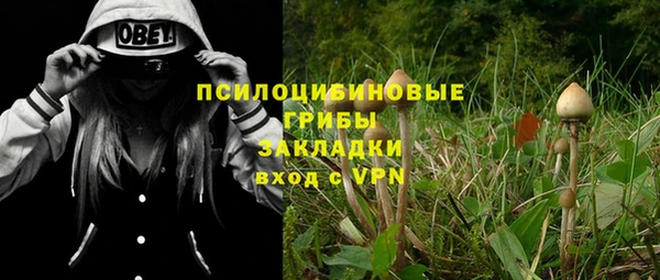 хмурый Алексин