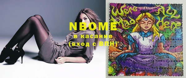 хмурый Алексин