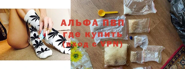 хмурый Алексин