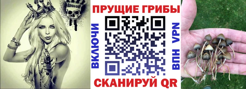 Галлюциногенные грибы мухоморы закладка гидра вход Алупка
